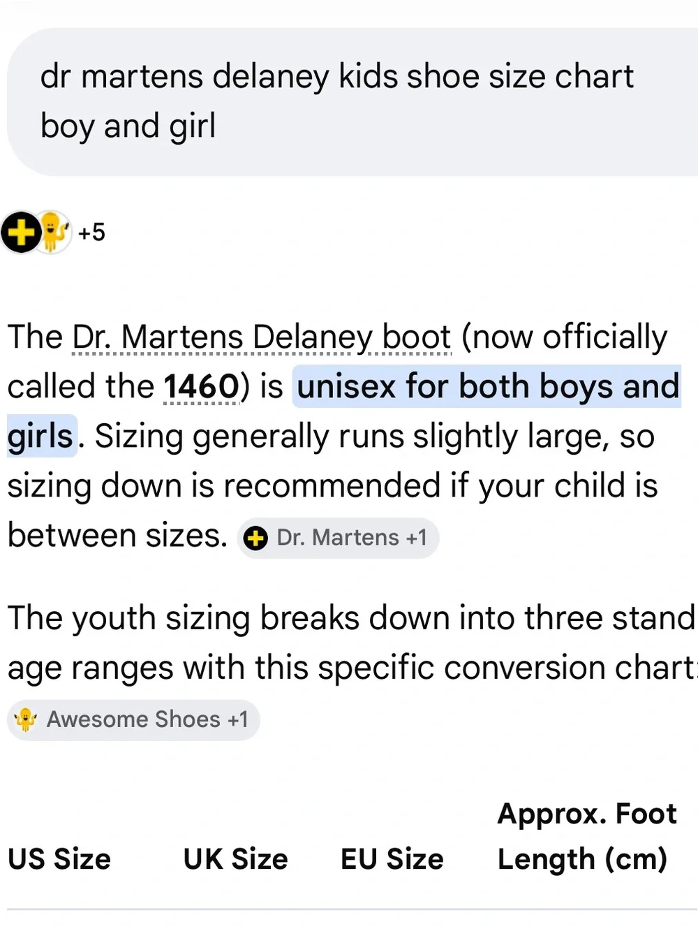 Dr. Martens Delaney Combat Boots